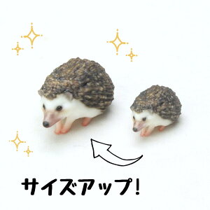 ysoramamezPartner's 93 crnlY~(@F1.3cm×1.1cm×s2.1cm)