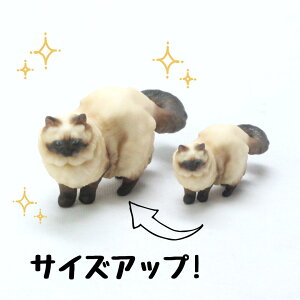 ysoramamezPartner's 94 q}(@F1.6cm×2.2cm×s3.9cm)