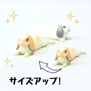 ysoramamezPartner's 62 z[hEbv(@F1.8cm×1.2cm×s3.3cm)