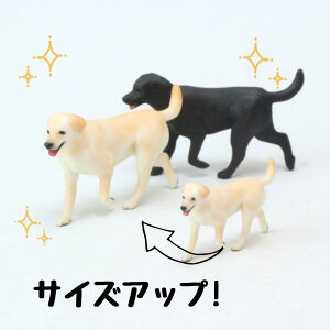 ysoramamezPartner's 79 uh[Eg[o[(@F1cm×2.4cm×s4cm)