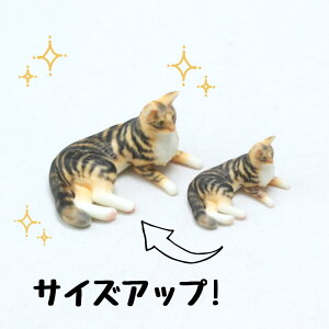 ysoramamezPartner's 74 mEF[WtHXgLbg(@F2.2cm×2.1cm×s3.6cm)