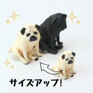 ysoramamezPartner's 88 pO(@F1.4cm×2.5cm×s2.3cm)