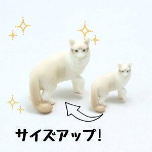 ysoramamezPartner's 75 Oh[(@F1.6cm×3.2cm×s3.2cm)