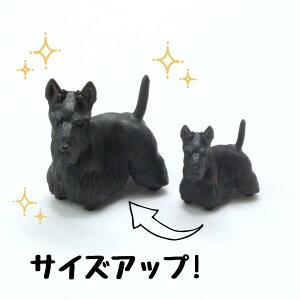 ysoramamezPartner's 103 XReBbVEeA(@F1.7cm×2.5cm×s2.8cm)