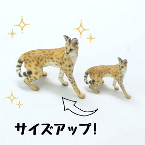 ysoramamezPartner's 85 T[oLbg(@F1.7cm×3.9cm×s4cm)