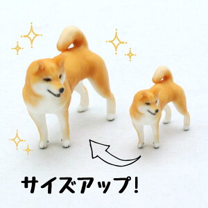 ysoramamezPartner's 89 Č ʂ(@F1.3cm×2.5cm×s3.1cm)