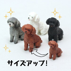 ysoramamezPartner's 116 gCEv[h efBxAJbg(@F1.3cm×2.7cm×s2.7cm)