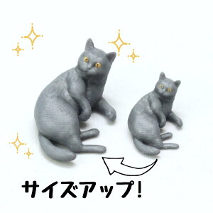 ysoramamezPartner's 130 ueBbVV[gwA(@F2.2cm×1.6cm×s2.7cm)