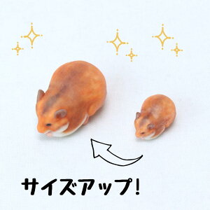 ysoramamezPartner's 125 S[fnX^[(@F1.2cm×1.1cm×s1.9cm)