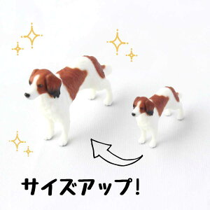 ysoramamezPartner's 146 R[CPzfBG(@F0.9cm×2.6cm×s4.2cm)