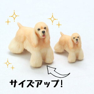 ysoramamezPartner's 122 AJERbJ[EXpjG(@F1.3cm×2.5cm×s3cm)