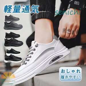 Xj[J[ Y JWAV[Y bV Xb| n ʊw  ʋC y AE^[ ₷ ɂȂ 