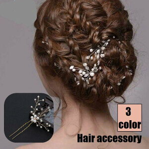 񂴂  Us wAs fB[X  wl wAANZT[ a   R[ p[ CXg[   l