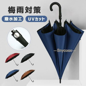 JP WvP Y P StP Jp jp   ^b` ܂ɂ 8{ P ɋ ~J΍