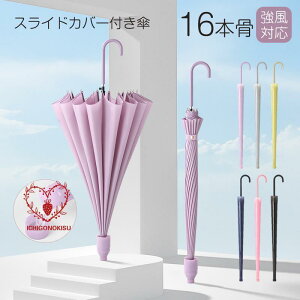 P P JP 傫 16{P ϕ Jp ^b` SՌ ՔM  Jo[t ꕔ Y fB[X 䕗΍ J΍ ~JΉ