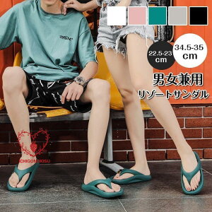 ][gT_ T_ ₷ RtH[gT_ RN Y fB[X jp yAbN ][g T_ JWA 