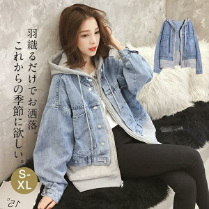 fj tR[g fB[X AE^[   t[h p[J[  fjR[g JWA ؍ AE^[ IV