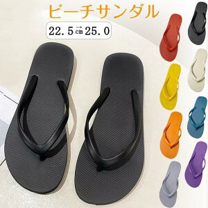 r[`T_ r[T fB[X ɂȂ ₷ 􂦂  ėp jp