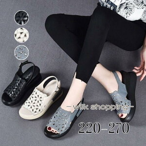 Xj[J[T_ X|T ItBXT_q[ s  傫TCY EFbW\[ EGbW\[obNXgbv W[