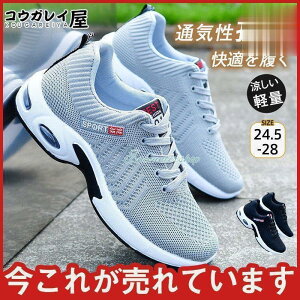 YXj[J[ Ȃ EH[LO t ₷ ^]  ̓Mtg ʋCQ 芴 y ^C Vv Ȃ