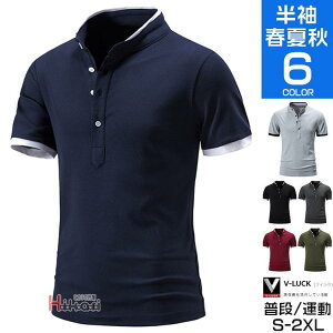 StEFA Y   |Vc StVc l݃Vc X^hJ[Vc ^  ̓