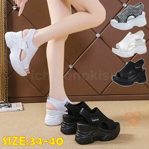 fB[X C X|[cT_  T_ ɂȂ ₷ ₷ I[vgE r JWA r 킢 킹₷ AEghA