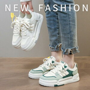 Xj[J[ fB[X V[Y C EH[LOV[Y  [Jbg ₷ Ȃ t  H