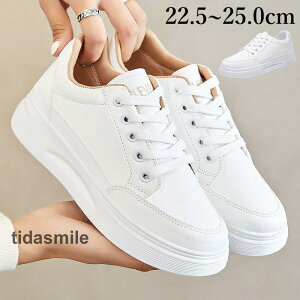 Xj[J[ fB[X  ₷ [XAbv y Ȃ U EH[LO JWA ~ ʋ ʊw