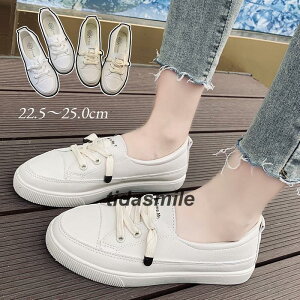 Xj[J[ fB[X  fbLV[Y tbgV[Y [Jbg [X Abv y C