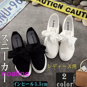 Xj[J[ fB[X {   [Jbg Cq[3.5cm JWA Vv  Xb| XbvI  10 20 30 40