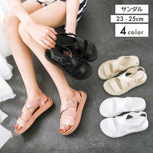 T_  fB[X n   킢  JWA Vv ₷ ₷  s ʊw ig o