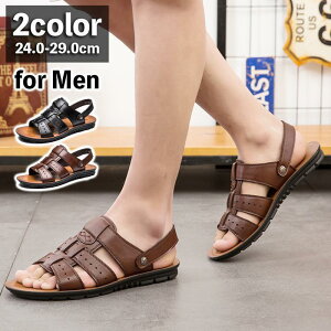 T_ RtH[gT_ Y OfBG[^[ Xgbvt 2way U[  ꂢ JbR o JWA f