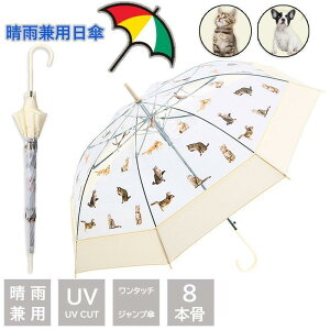 P ̎P J n fB[X Y JP P Jp y  ^b` ~J΍ Ռ  ^P 8{ UVJbg O΍ rWlX