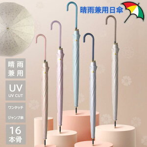 P ̎P J fB[X Y JP P Jp y  ^b` ~J΍ Ռ  ^P 16{ UVJbg O΍ rWlX