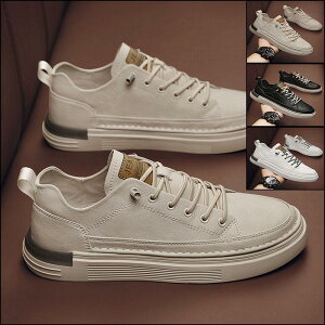 Xj[J[ Y jOV[Y ₷ ₷ C V[Y tFCNU[Xj[J[ 