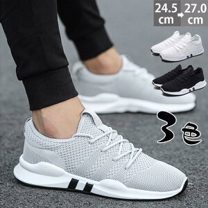 Xj[J[ Y LO X|[c  EH[LO ʋC h lGp ɂȂ @\ KSn K Ȃ U 傫TCY