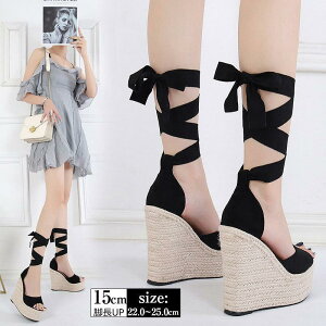 T_  EFbW\[ Xgbv  W[g I[vgDT_ fB[X ҂ݏグ T}[ rT_ 15.5Z` nCq[ rUP