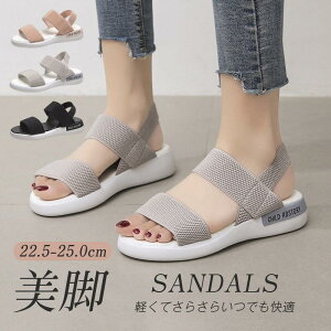 T_ X|[cT_ fB[X [q[ @Soh y ₷ p[eB[ 傫TCY ɂȂ ʋΒʊw@