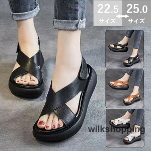 T_ fB[X y EFbW\[ ~[T_ I[vgD rʃAEghA  JWA PU r₷ ₷