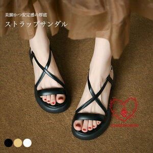 XgbvT_  fB[X T_   PU T}[T_ r T_ O V[Y PUT_ ʋ y