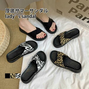  T_ fB[X Xbp OoC RtH[gT_ T_ 4.5cm ^ r[T [u  芴 Xbp