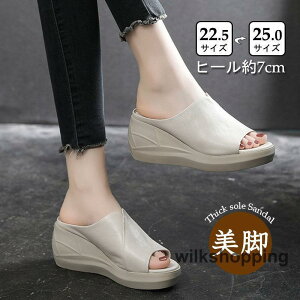  T_ fB[X EFbWT_ ~[T_ I[vgD  C ʋ AEghA  X|[cT_ PU JWA K r