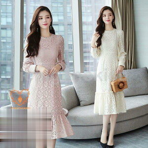 s[X fB[X 40 ꂢ  i H~ [Xs[X O 傫TCY p[eB[hX ؍   ʋ  OL