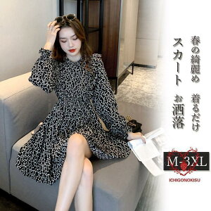 s[X XJ[g nClbN t  H  fB[X JWA  킢 ꂢ   20 30 40 50