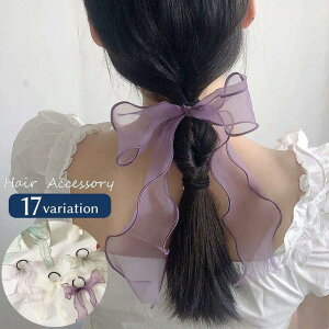 wAS fB[X wAANZT[ { VA[ 傫 Ԃ VtH t[ ԕ rbO fފ 킢  ANZg t