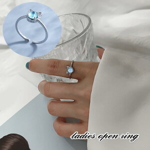 w I[vO ANZT[ fB[X  wlp L`[t L[g 킢 Ԃ T Vo[J[ CXg[ u[