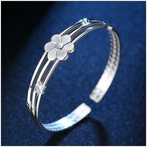 �u���X���b�g �r�� �o�b�N�I�[�v�� �V���o�[�J���[ �~�̉� �t�����[ �� �אg �V���v�� ���킢�� ������� ���ł��� �f�[�g �I�t�B�X �v���[���g