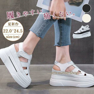 T_ OJT_ T_ fB[X  t ҂ݍ s W[ r ɂȂ ₷ l s ][g Vv