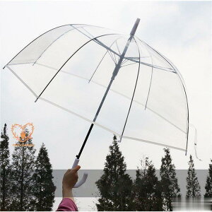 P P rj[P  h[^ JP 킢 P Sʓ ^b` [ 8{ v ϕ