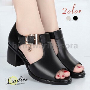 EFbW\[T_ fB[X T_ nCq[ I[vgEpvX V[Y C JWA  r  傫TCY ꂳ